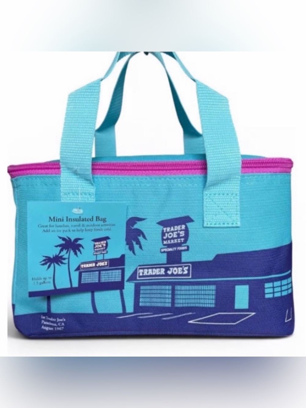 Trader Joe’s Insulated Mini Tote Bag - Blue